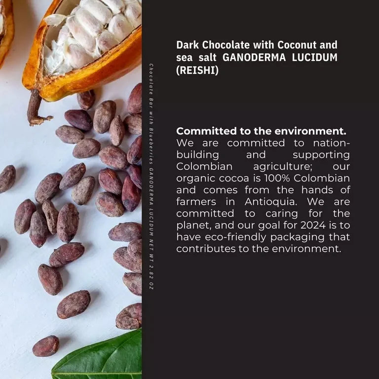 Single Sugar-Free Coconut Sea Salt Dark Chocolate Bar